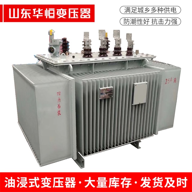S13-10000/35枞阳枞阳枞阳电力变压器厂家