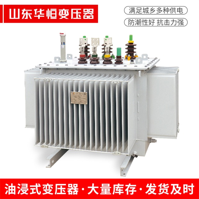 S13-10000/35枞阳枞阳枞阳电力变压器